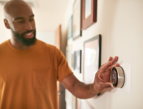Preventing Mold in Your HVAC System: Essential Maintenance Tips