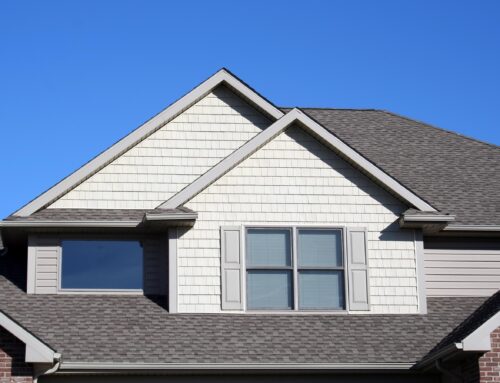 Battling Mold: Protecting Your Roof From the Silent Invader